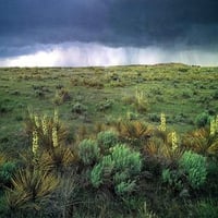 Comanche National Grasslands