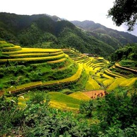 China Rice Terraces