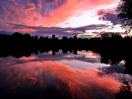 Evening over the pond - trees, pond, tranquil, night, orange sky