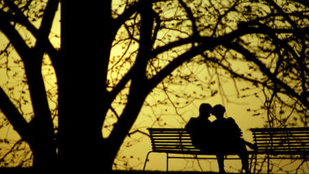 Twilight in the park - bench seats, silhouette, trees, romantic, couple, park, twilight