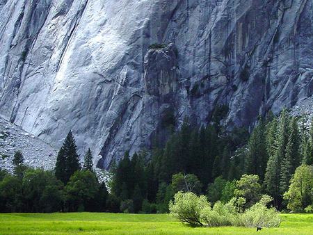 Steep rockface - grass, trees, rockface, mountain