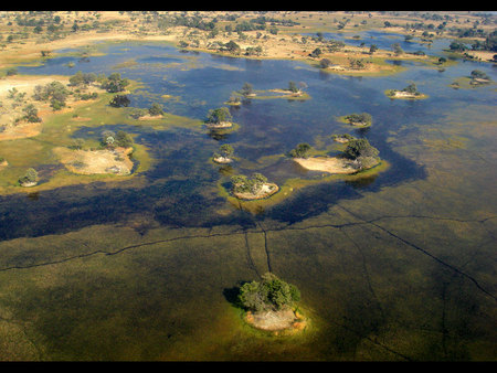 Over the Okavango - land, trees, okavango, river