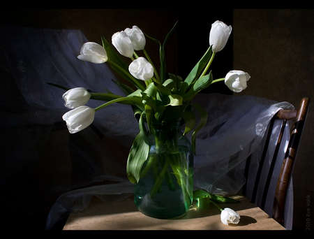 tulips - white, flower bouquet, photography, tulips, flowers, elegant, still life