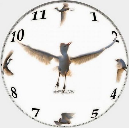 flying time - clock, time, bird, fly