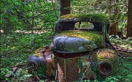 Rust in the forest - car, old, forest, abandon, hmm, rust