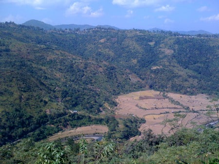 Nagaland-10 - village, hills, terrace cultivation, mountain