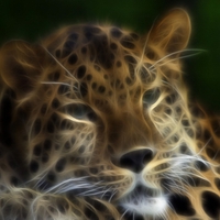 Big-Exotic-Cats-the-Extinction-of-the-Amur-Leopard-Fractalius-Art-Portrait