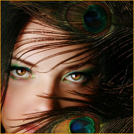 delicate - beauty, soft, delicate, green, peacock feather, look