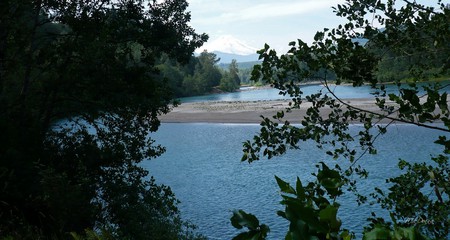 Skagit River and Mount Baker - river, trees, water, summer, washington, mountain, sky