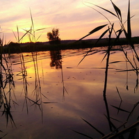 Serenity At Sunset