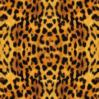 Leopard Pattern