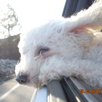 WEEEE! I love this wind!