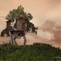 A Tree House