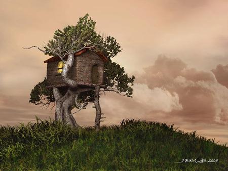 A Tree House