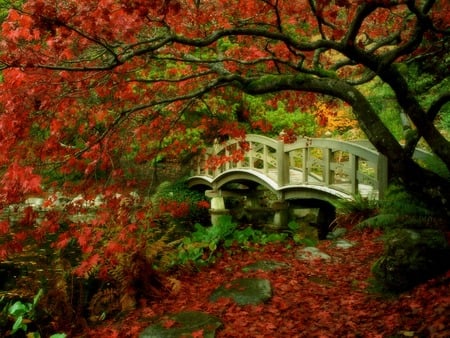 Autumn Garden - japan