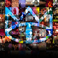 The Cat Empire