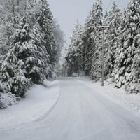 Camano Island Winter