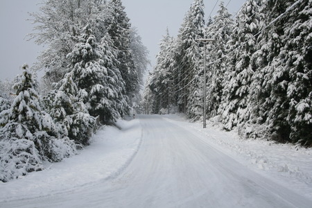 Camano Island Winter - snow, camano island, winter