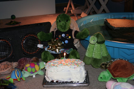 Turtle Birthday Party - turtles, happy birthday, tortoises, parties