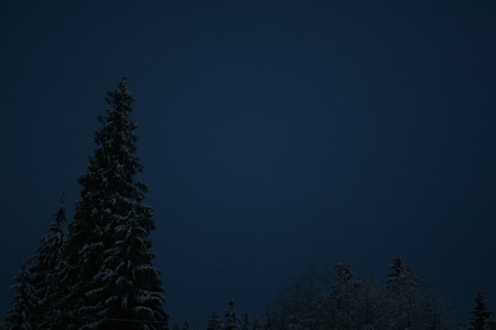 A winter night - snow, night, winter