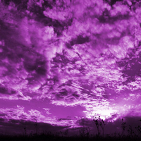 Purple Sky3