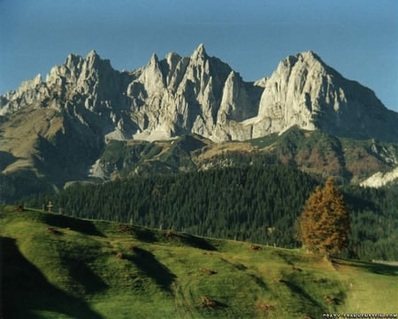 forest dolomite peaks landscape - mountain