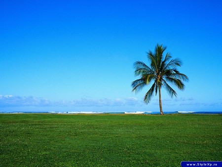 greeeen - nature