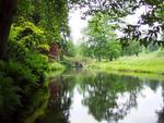 lakes with trees