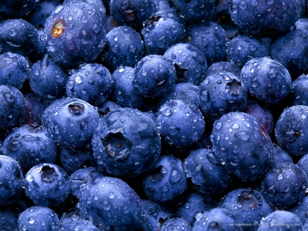 Wet Blueberrys - berries, blueberries, nature, food, blueberry, wet, berrys