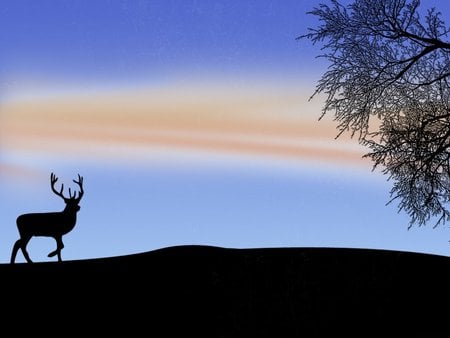 Quiet and peace - horizon, tree, 3d, deer, twilight, abstract, gazelle