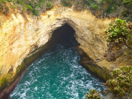 Great Ocean Road Blow Hole - trees, blow hole, cliff, water, green, rocks