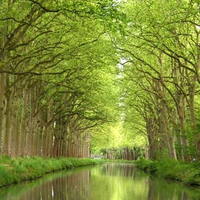 Summer-Canal-du-Midi