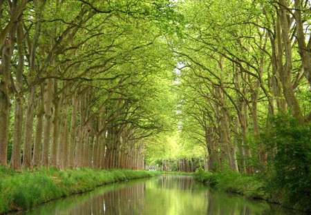 Summer-Canal-du-Midi - picture, beautiful, summer, canal, du-midi