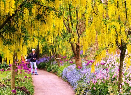 Painting the beauty of spring - beauty, flowers, painter, trees, walkway, park, colors, man