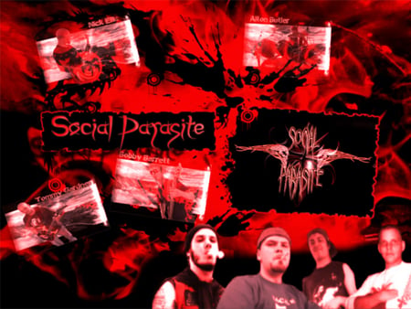 Social Parasite - rock, band, music, social parasite