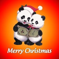 Christmas panda bears