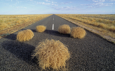 dry - nature, lonely, road, dry