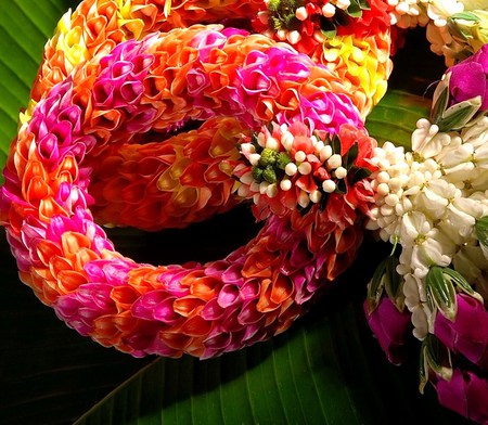 Flowers by design - art, petals, display, design, flowers, colors, ring