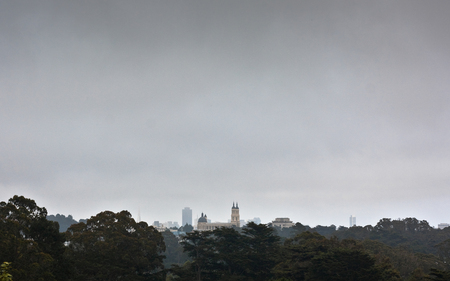 San Francisco Jungle - trees, fog, buildings, overcast