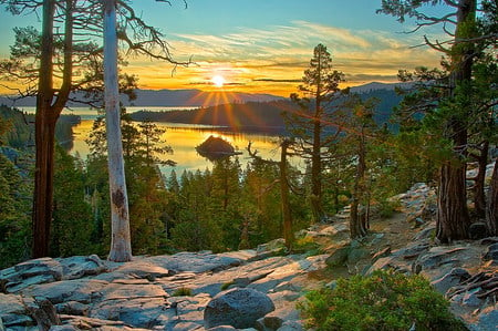 Greeting the Day - lake, forest, view, trees, sun