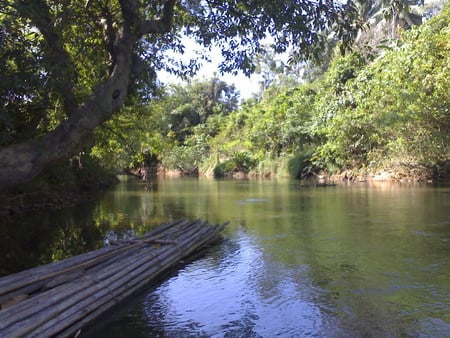 the woods - nature, trees, forests, hills, water, mountains