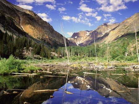 mountains by lake - nature, sky, lake, trees, mountains, grass