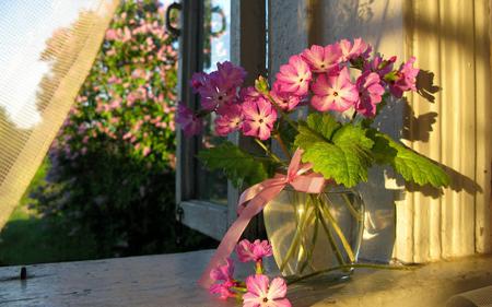 Lovely Flowers - summer, flower, vase, ribbon, photography, red, pink, flowers, still life, petals, sunlight, lovely, beautiful, bouquet, view, tree, nature, spring time, shine, pink flowers, pretty, water, rays, beauty, spring, window, super, sun, room, nice, trees, window sill, green