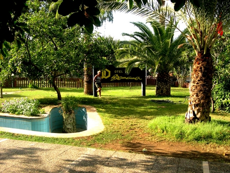 Alanya, Turkey nice field - turkey, palms, nature, alanya, fields, green