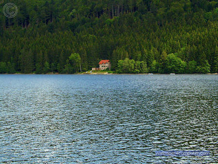 A VIEW OF CABIN IN THE WOODS - setting, cabin, woods, beautiful