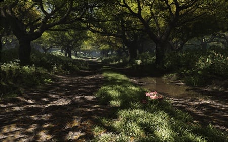 Willow road - green, forest, trees, road