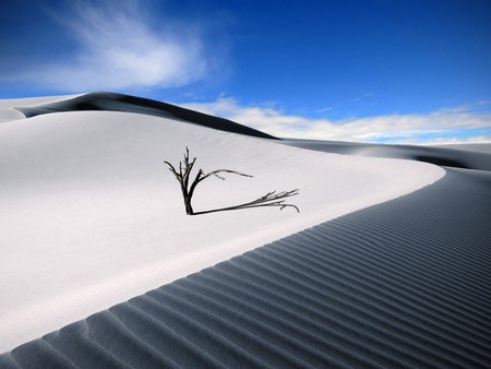 Dune - nature, desert, shadow, dune, sky