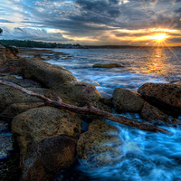 Driftwood at Sunset