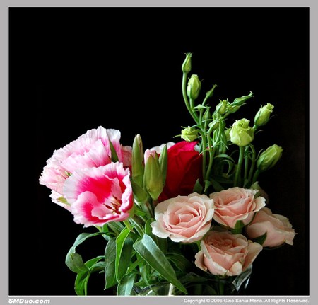 Natures gifts - peonies, roses, pink, flowers, leaves, arrangement, green