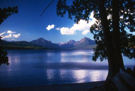 Still of the night - still, clouds, moon, trees, blue water, lake, night, sky